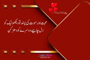 Best poetry on love in urdu SaimWrites
