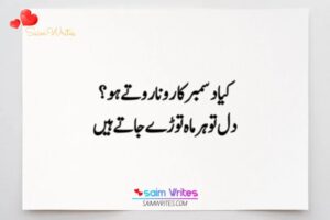 December poetry two lines - SaimWrites