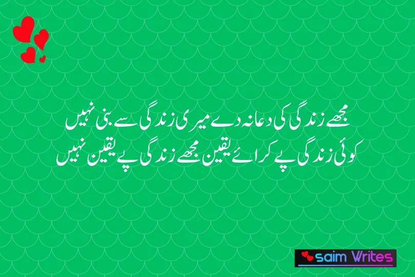 مجھے زندگی کی دعا نہ دے میری زندگی سے بنی نہیں 